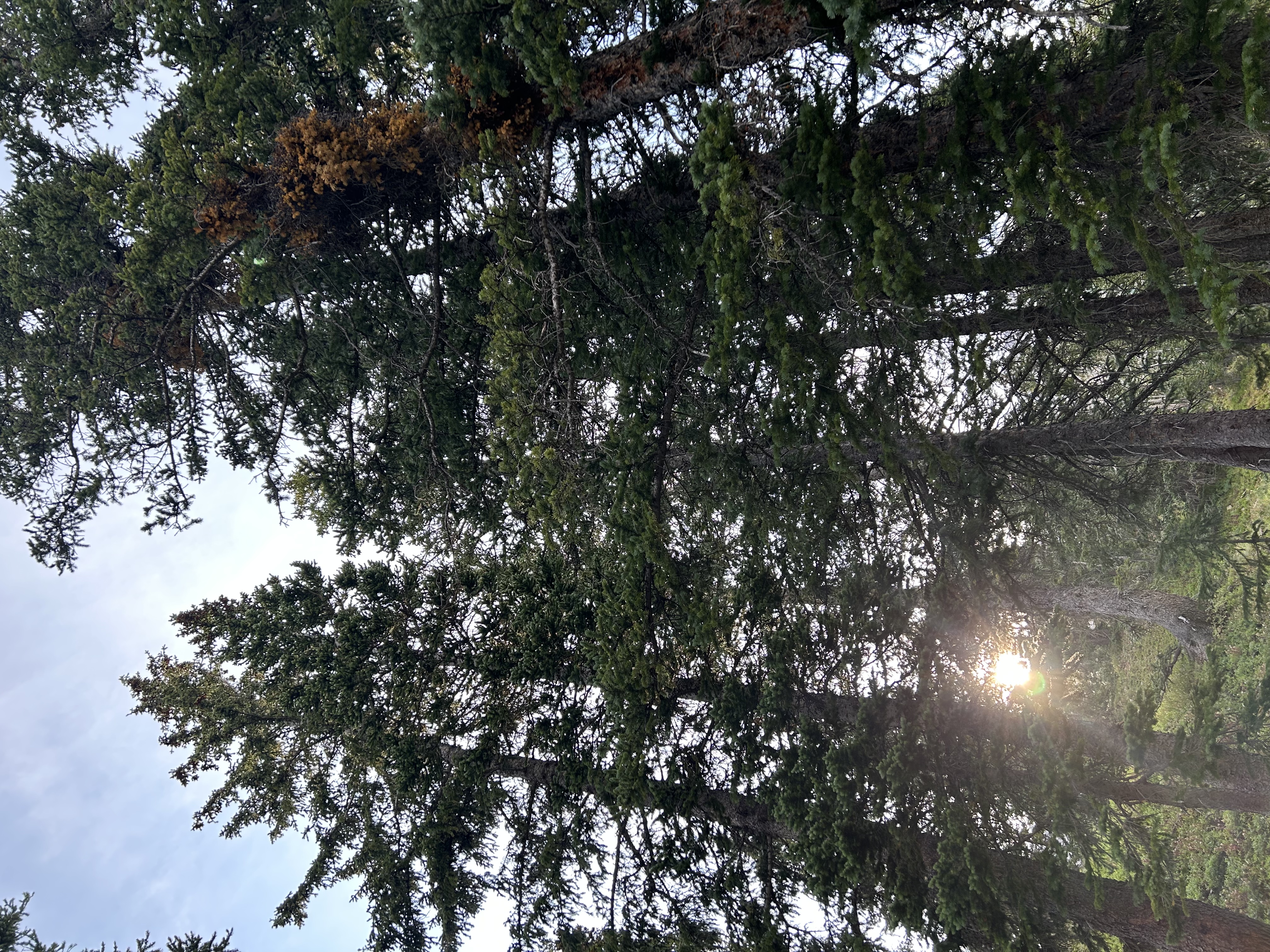 A moment of silence and reflection